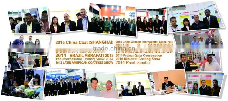 Best price of silica Matting agent B207