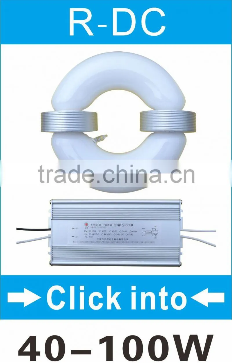 HB 40w 50w 60w 80w 100w S induction lamp 12v 24v solar lamp