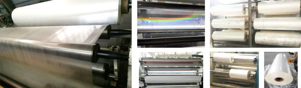 1200x350.jpg