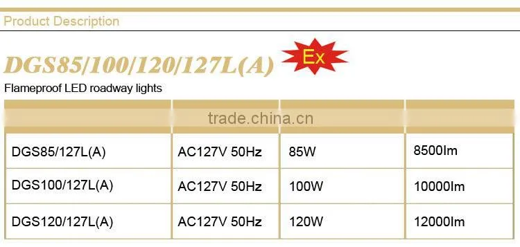 Explosion proof LED roadway lights