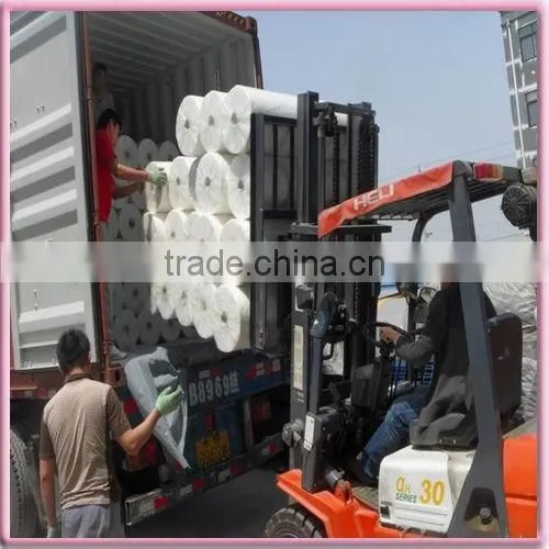 Non-woven polyester mat