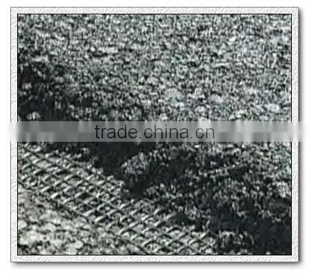 Fiberglass geogrid for Enhance the substrate surface