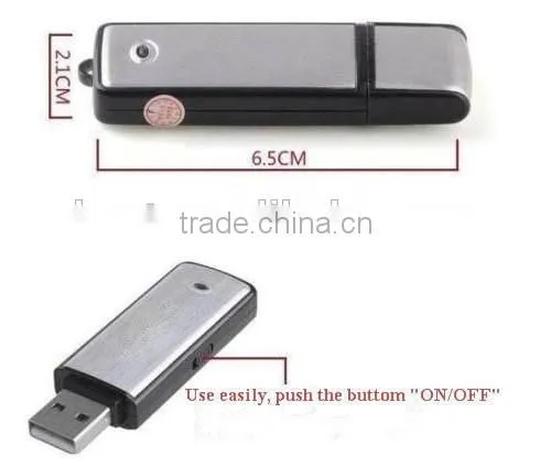 2 in 1 4GB USB Disk digital Voice Recorder Dictaphone Pen USB Flash Drive audio recorder in retail package