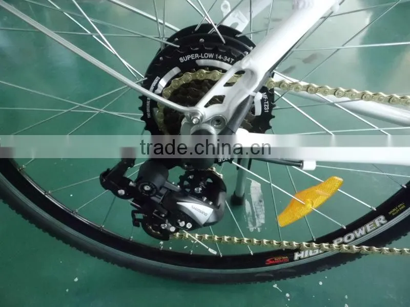 electric surrey bike