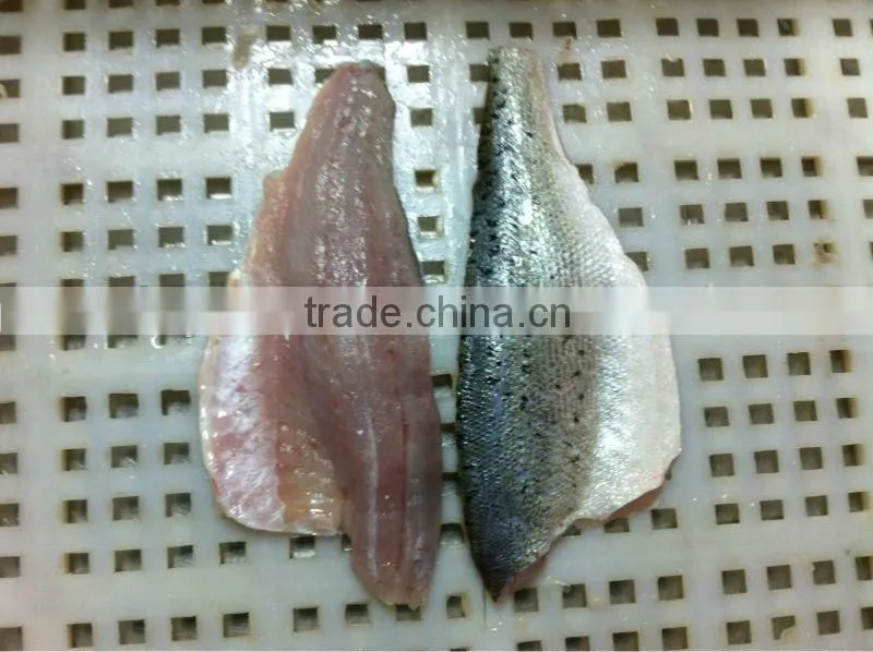 Frozen Seabass fillet