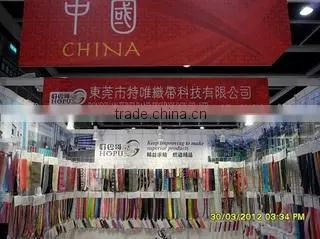 Dongguan Tewei Band Technology Co., Ltd. company overview - view 2