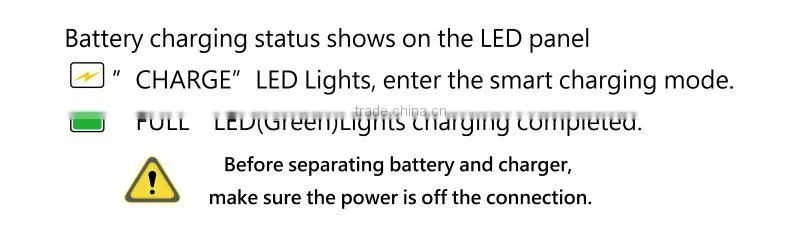 MT600 Multi-function Intelligent Battery Charger