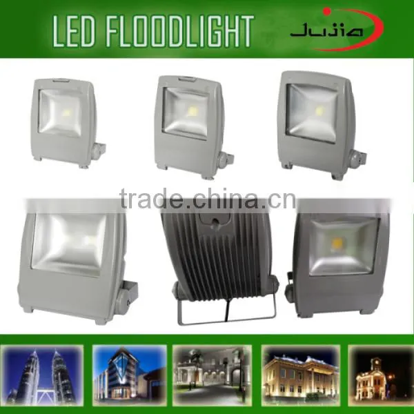 Architectural Lighting 20W COB LED Floodlight