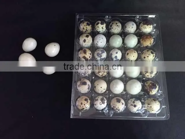 China supplier plastic quail eggs tray 30 holes accounts