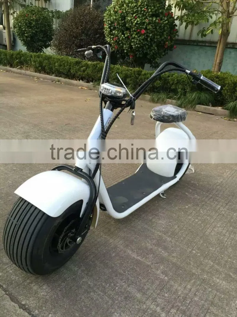 Cool Harley Scooter with 48V Lithium Battery and 800W power