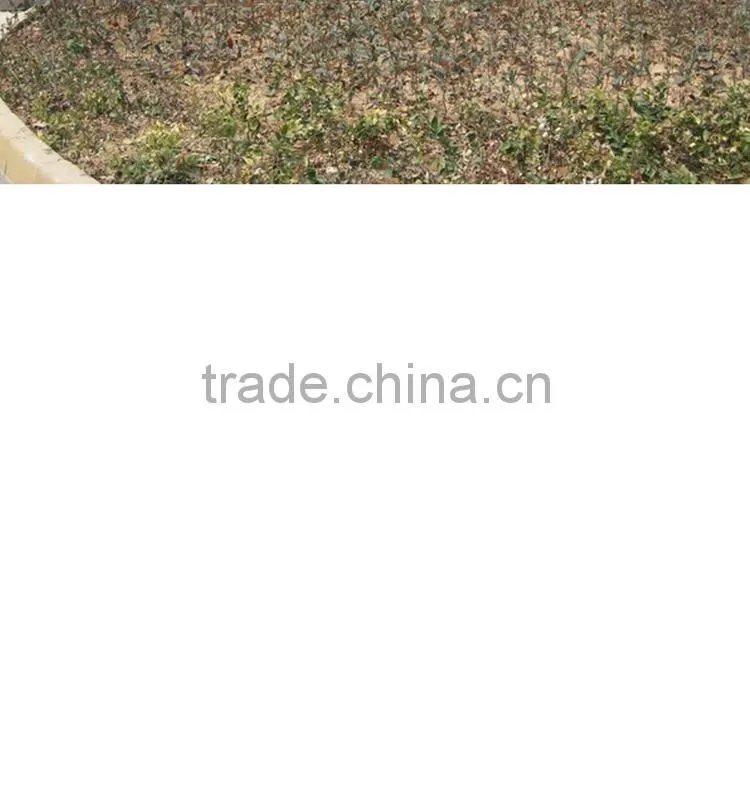 LED Spot Light GU10/MR16/E14