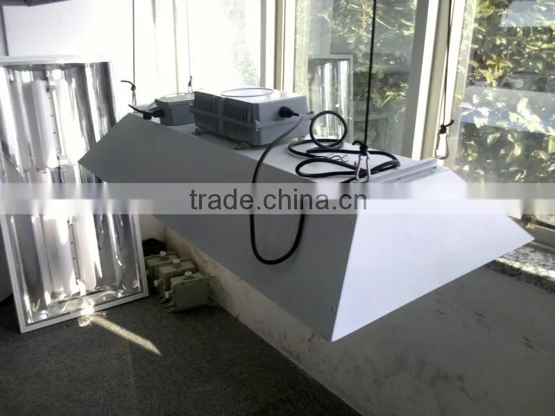 NEW 200-400W grow light-magnetic induction lighting-induction grow light