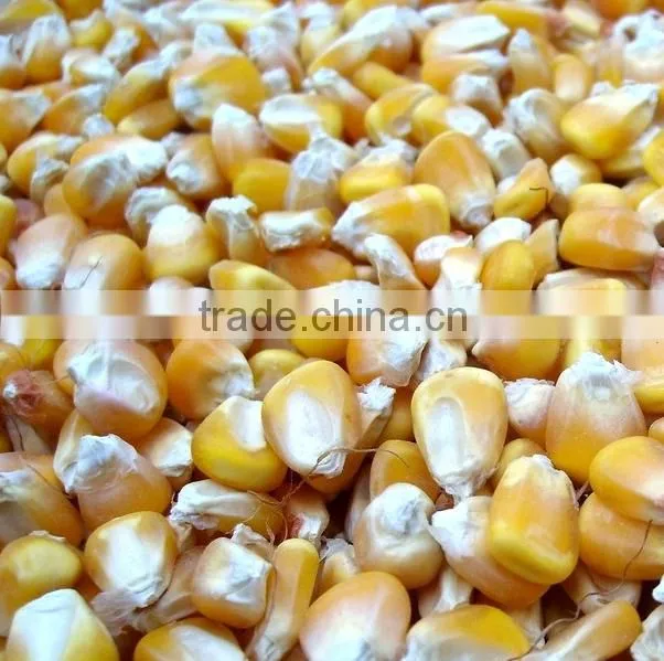 mini thresher for corn