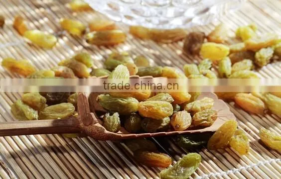 thompson seedless sultanina dried green grape