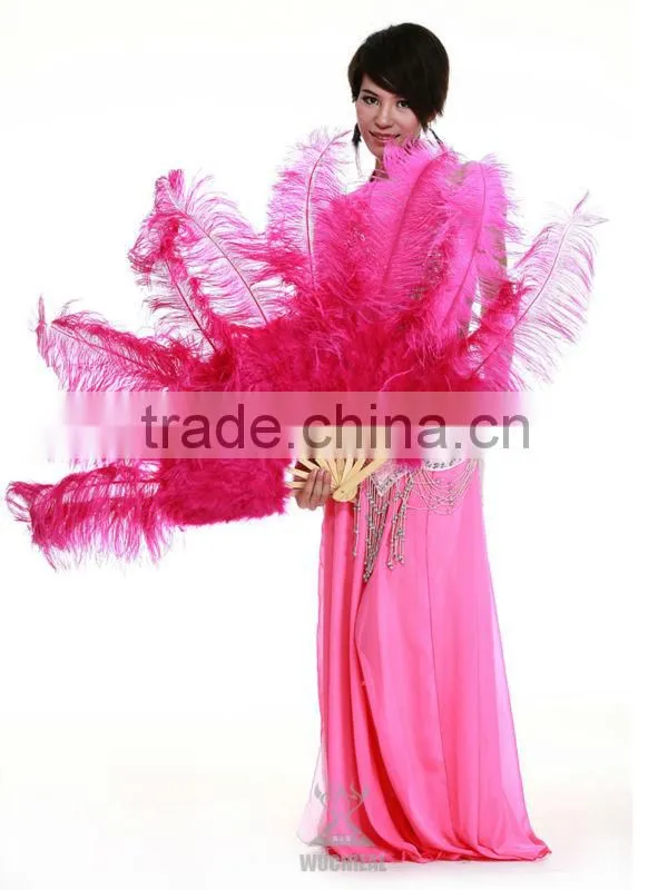 Belly Dance Costume Feather Fans, Performance Qstrich Feather Fan for Dancer (DJ1003)