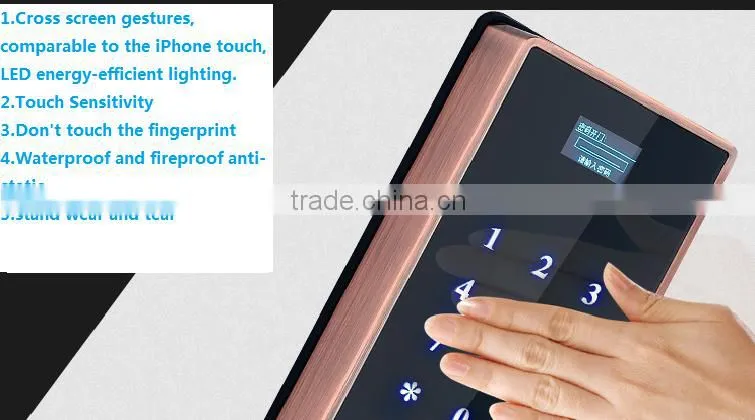 multiple function fingerprint lock
