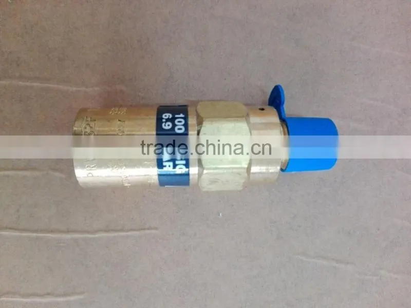 Industrial Standard Rego Cryogenic Safety Valve