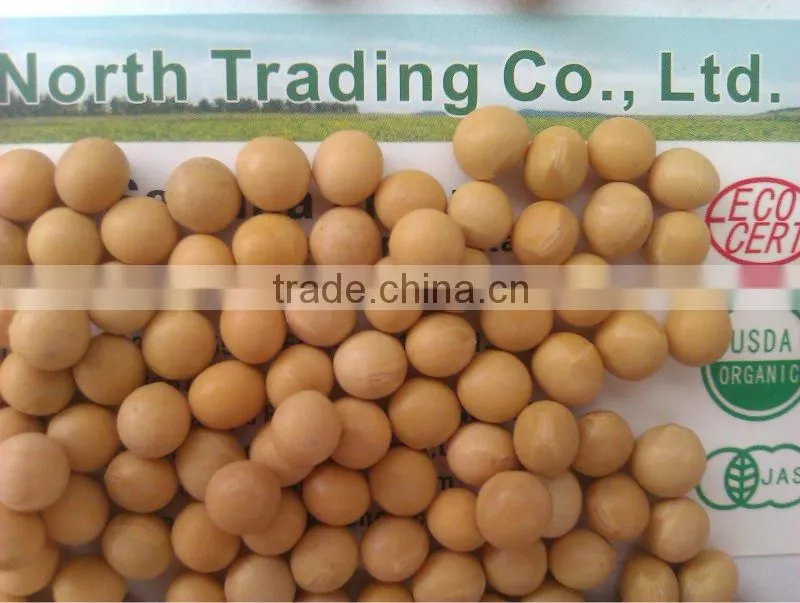 Soybean/soya bean, soybean seeds, soya bean seeds( new crop, heilongjiang origin)