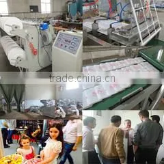 Shijiazhuang Daylily Biotechnology Co., Ltd. company overview - view 3