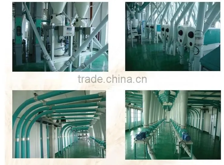 Buckwheat Flour Milling Equipment