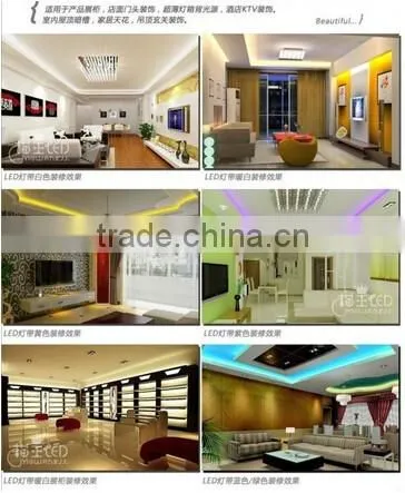 LED strip light can be cut low voltage DC12/24V plastic strip with outdoor/indoor decoration lighting waterproof ip65