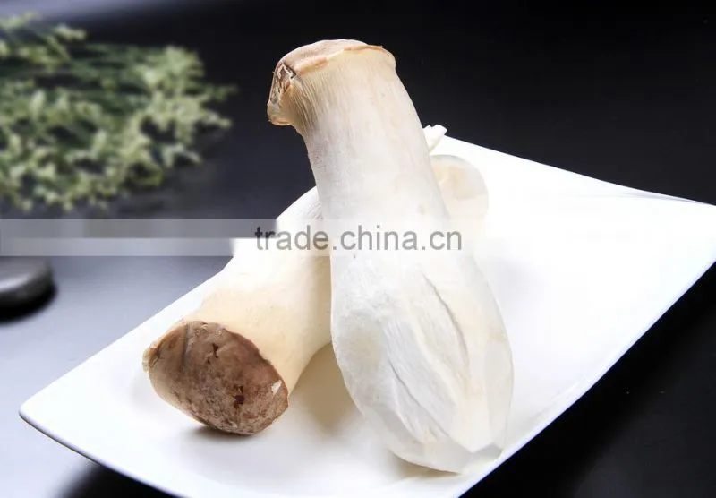 Grade A Dry Boletus Edulis Slice Dry Wild Mushroom
