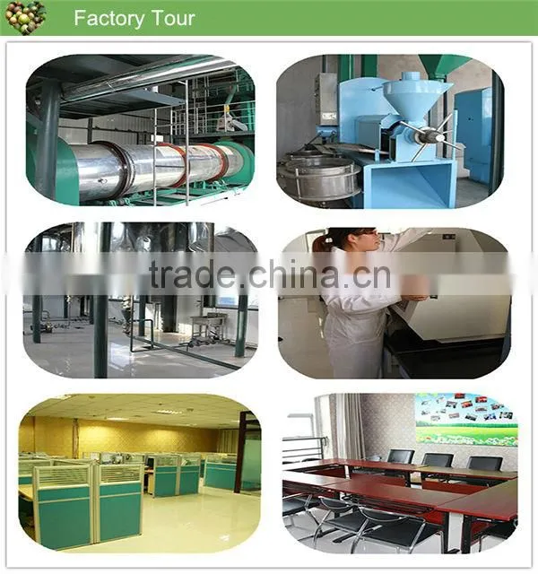 High quality Camellia seed oil physical cold pressed nutrition and health