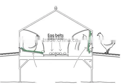 Automatic nest system/auto nest system/Poultry equipment/egg picking system/chicken nest/Manual egg collection box