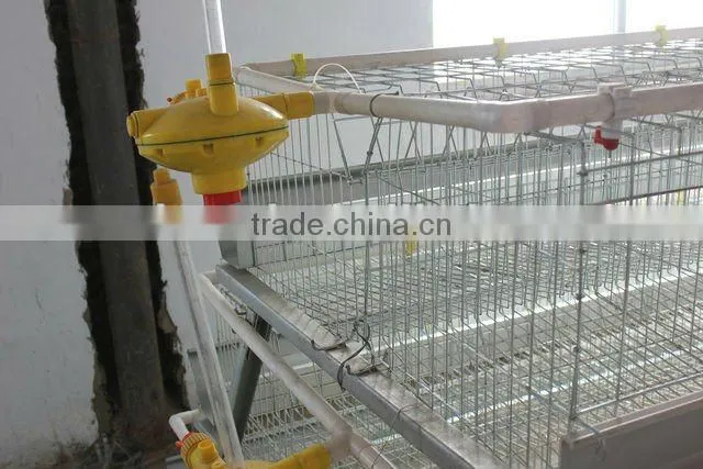 Baby chicken Hen House Cage for Nigeria growing layers