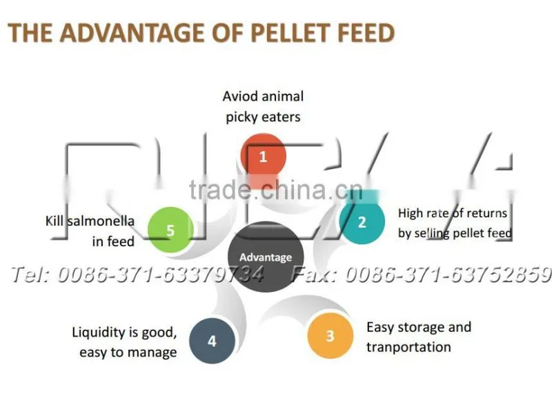 CE Approved 8 T/H Ring Die Poultry Chicken Cattle Cow Sheep Feed Manufacturing Machine