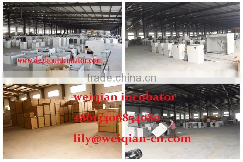 Chicken hatchery machine price 36,48 eggs