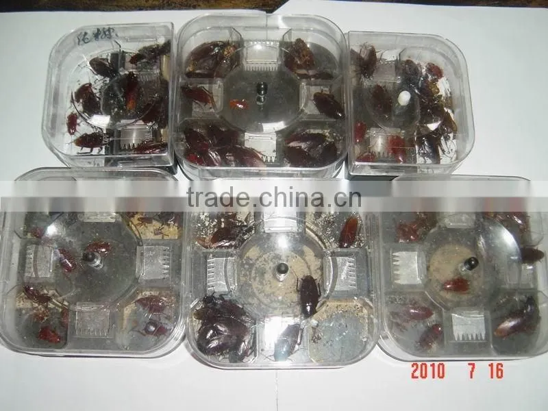 cockroach trap