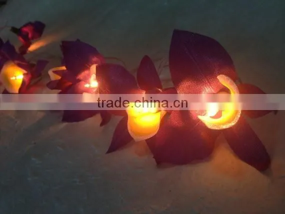 20 Battery Powered LED Purple Orchid fairy lights for party and decoration
