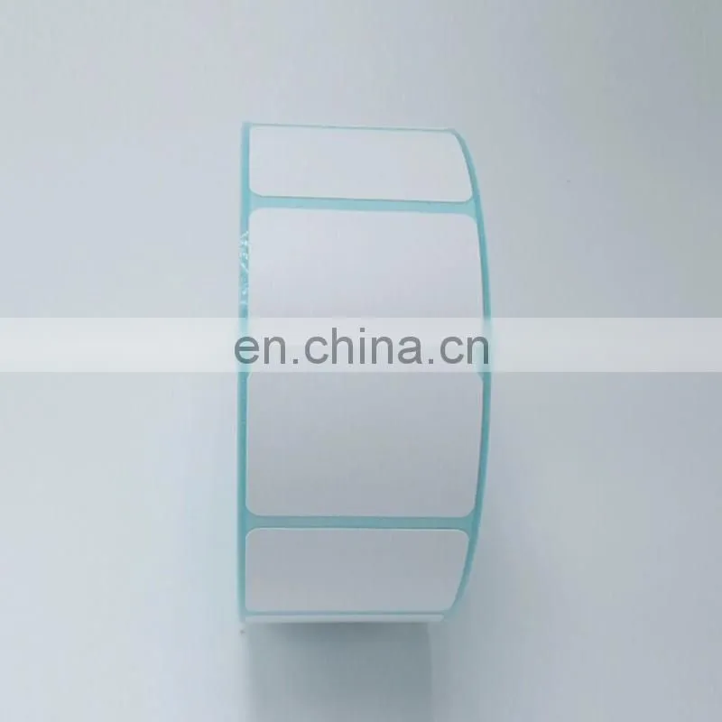 HAS VIDEO Rotary label die cutting machine with slitting function