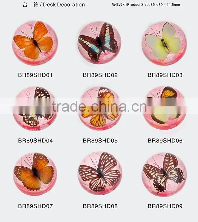 2016 New style wholesale paperweight with real butterfly