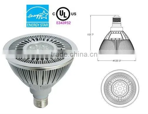 PAR38 Led Lamp