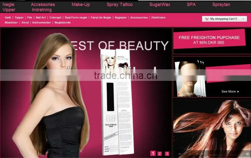 Professional B2B B2C C2C website design