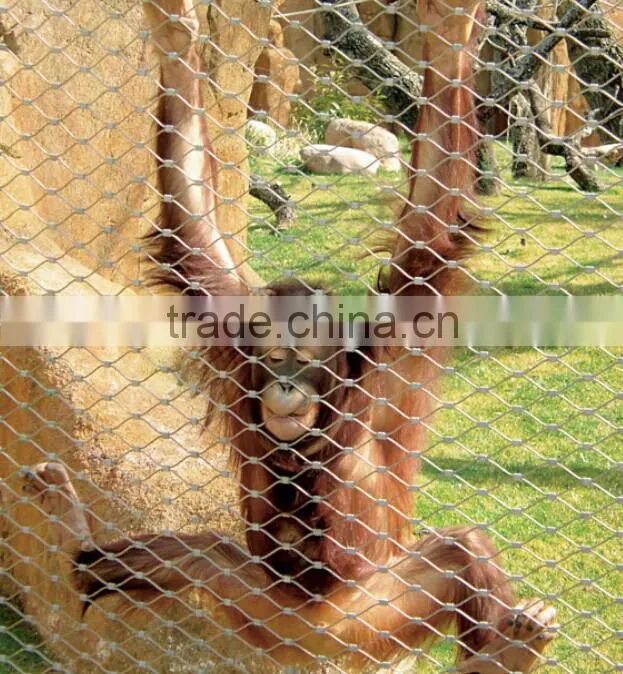 Hebei Shuolong ISO Manufactory export stainless steel wire mesh / mesh fabric