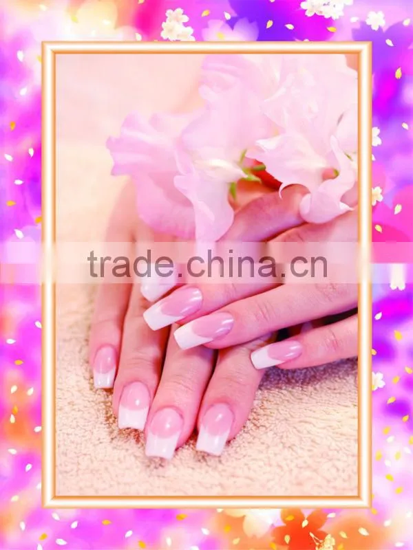 Decorative Painting pictures/nail posters nail art designs