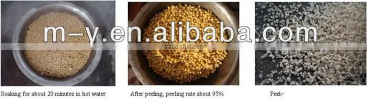 DTJ Chickpea peeling machine