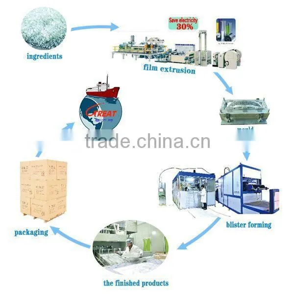 Plastic Fruit packaging container tray disposable plastic blueberry packaging container