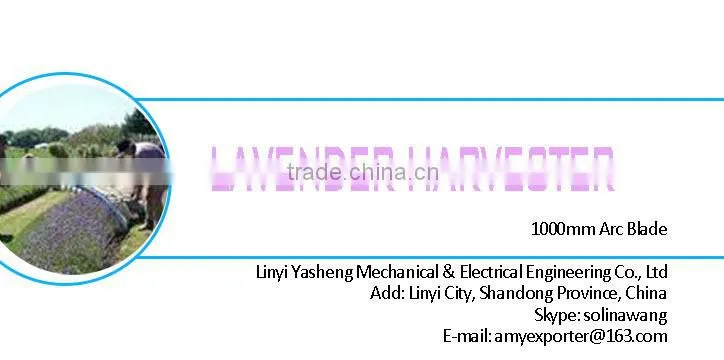 High Quality Tea Leaf Harvesting Machine for Sale