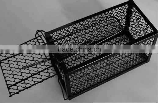 Chicken Layer Cages
