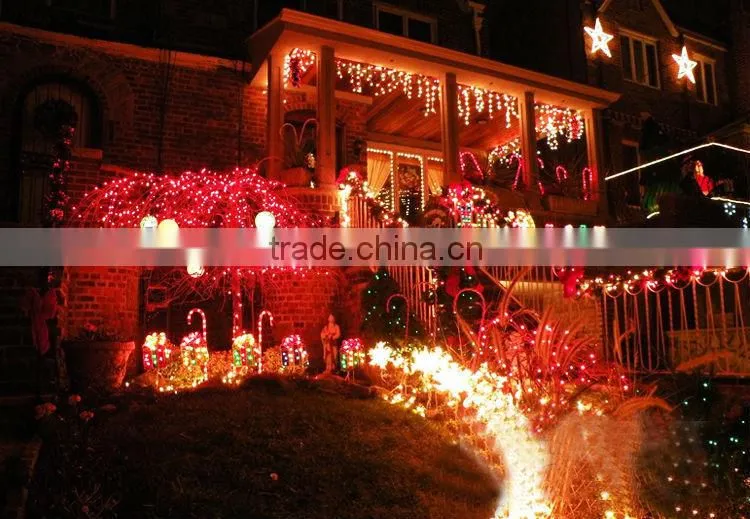 Strawberry String Light /AC110V,AC220V/Hot selling in 2013