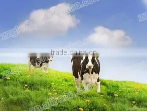 Energy Efficiency Factory Prices Best Selling Automatic Fresh Milk Vending Machine With Refrigerating
