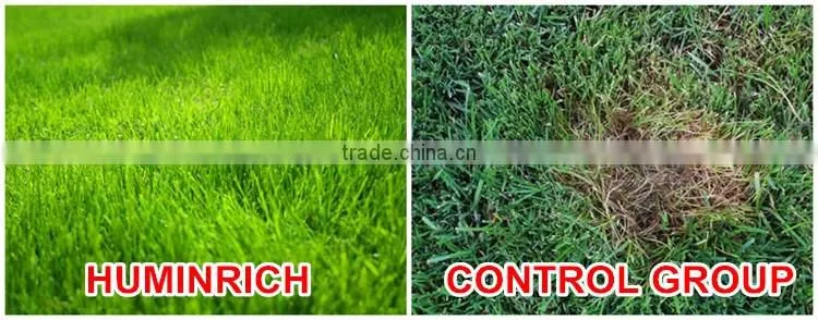FAQ 15--How To Control Lawn Disease?