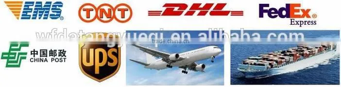 China DIY unfinished electric guitar kits