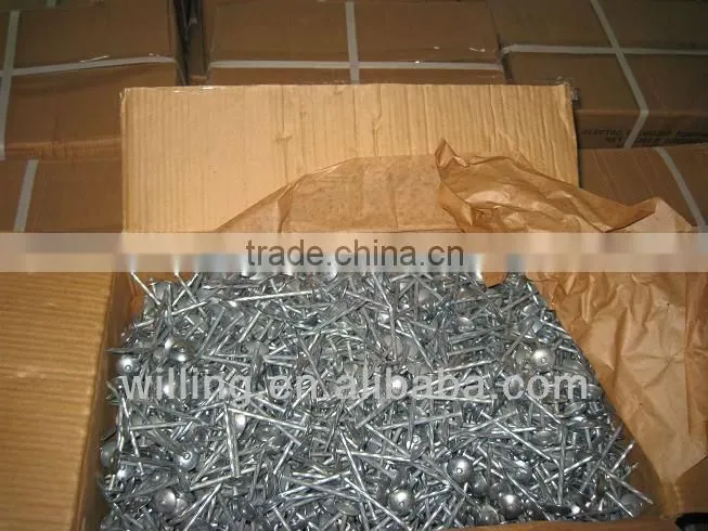 roofing nail