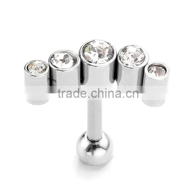 Ebay hot sale rook earrings fresh tunnel plugs stainless steel ear cartilage earrings jewelry fashion earrings