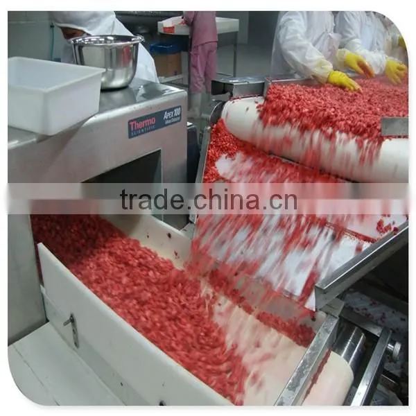 frozen strawberry,frozen strawberry fruit